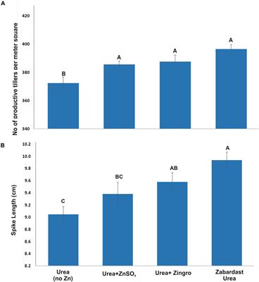 Bioactive Nutrient Fortified Fertilizer: A Novel Hybrid Approach for the Enrichment of Wheat Grains With Zinc